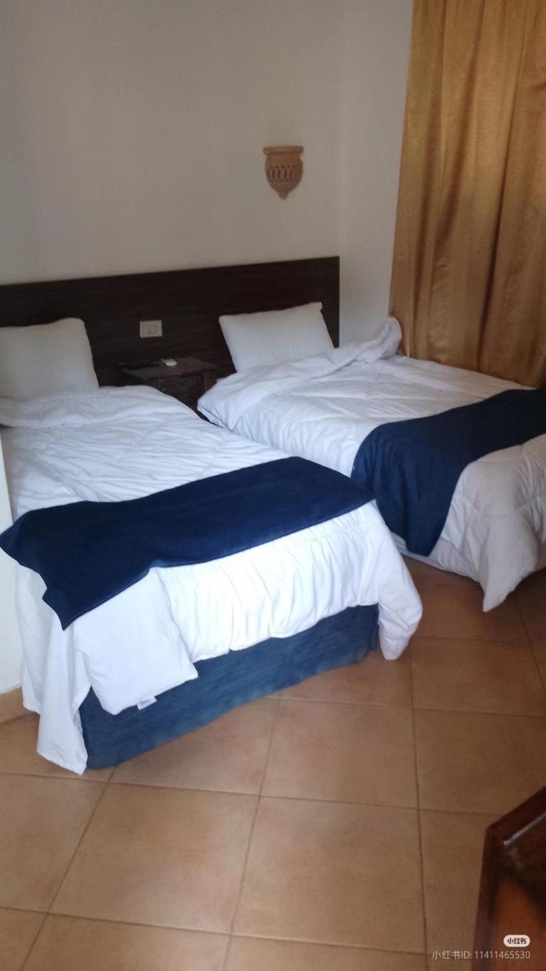 Sofia Guest House الأقصر المظهر الخارجي الصورة