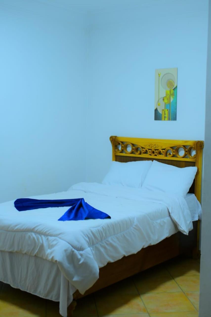 Sofia Guest House الأقصر المظهر الخارجي الصورة