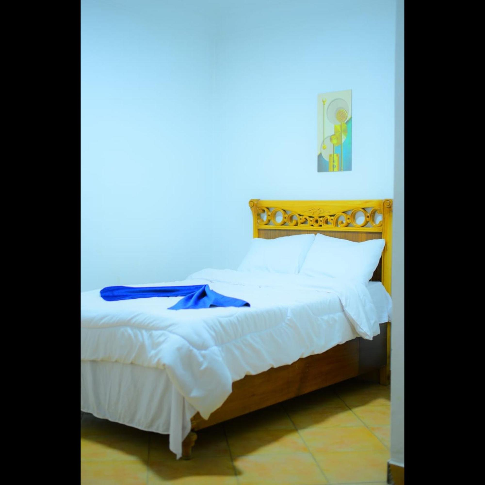Sofia Guest House الأقصر المظهر الخارجي الصورة